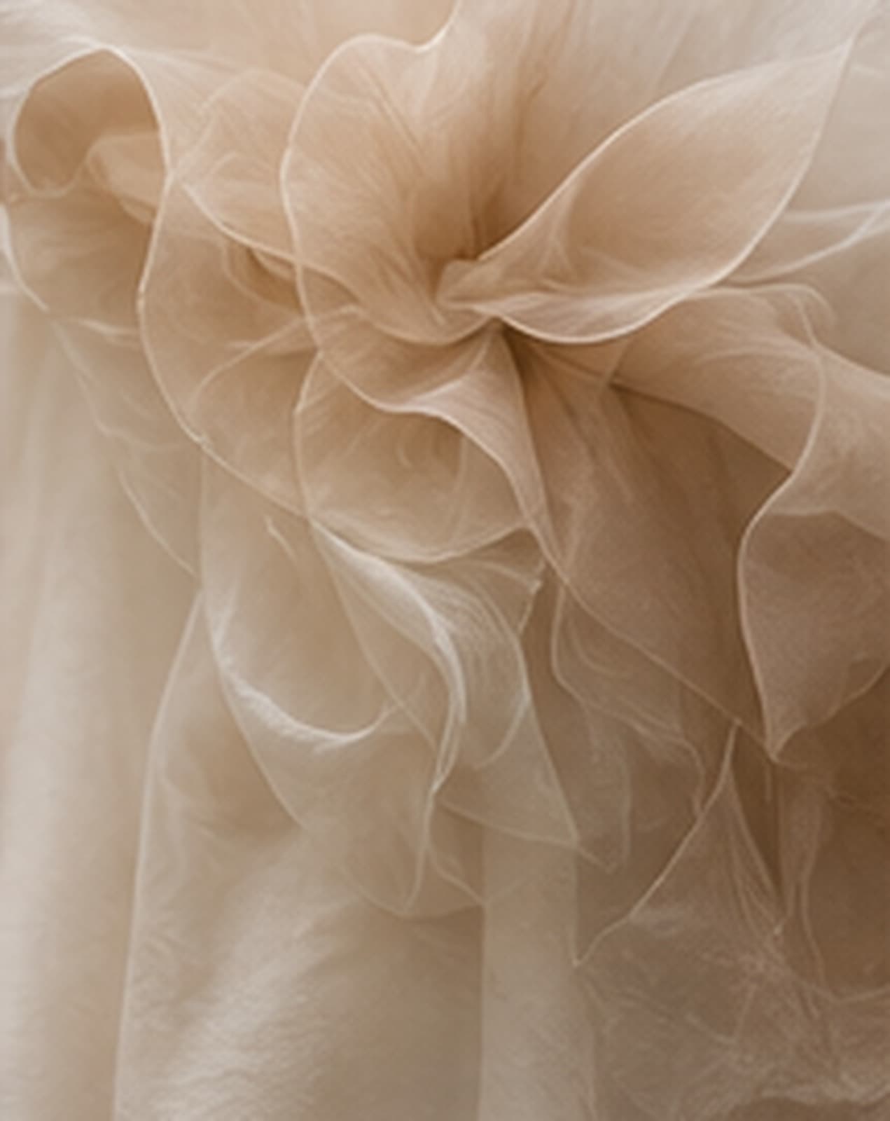Superposition abstraite de voiles et d’organza ivoire.